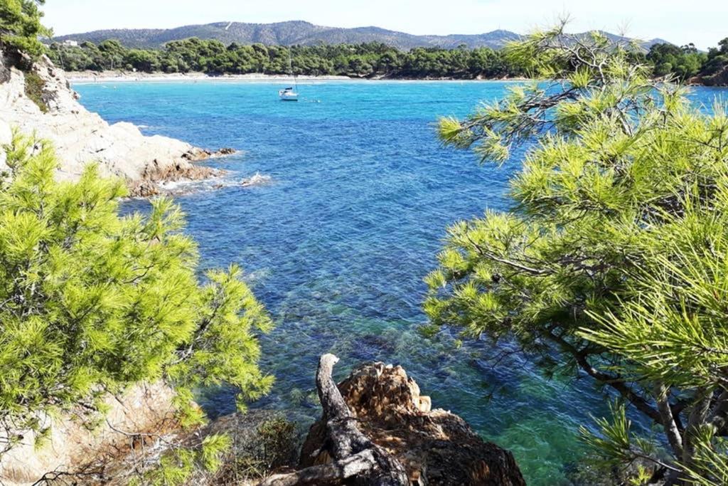 T2 Clim Parking, Entre Nature Et Plage Hyères Buitenkant foto